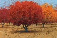 Orange Trees II Fine Art Print