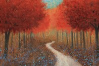 Forest Pathway Fine Art Print