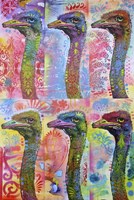6 Ostriches Fine Art Print