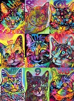 Nine Up of Cats Fine Art Print