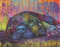 Lay Down Fine Art Print