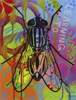 Leaning to Fly Fine Art Print