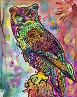 Owl Fine Art Print