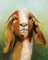 Got Your Goat Fine Art Print