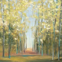 Aspen Grove II Fine Art Print