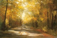 Gap Road Fine Art Print