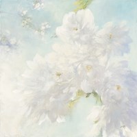 Pear Blossoms Fine Art Print