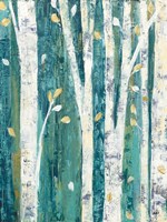 Birches in Spring III Framed Print