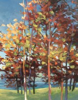 Kaleidoscope III Fine Art Print