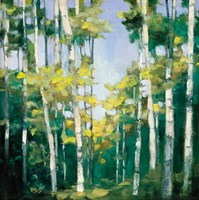 Cripple Creek Fine Art Print