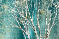 Blue Birch Horizontal Fine Art Print