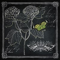 Chalkboard Botanical I Fine Art Print