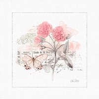 Sunny Day IV Pink Framed Print