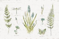 In the Forest I Fine Art Print