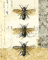 Golden Bees n Butterflies No 1 Fine Art Print