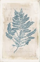 Sea Garden III v2 Fine Art Print