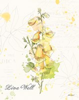 Floral Splash IV Live Well Fine Art Print