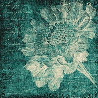 Aqua Vintage Botanical Fine Art Print