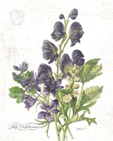 July Delphinium on White Framed Print