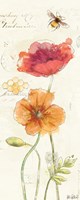 Painted Poppies VI Fine Art Print