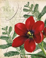 Vintage Noel III Framed Print