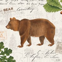 Lodge Collage VIII Framed Print