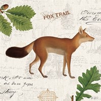 Lodge Collage VI Fine Art Print