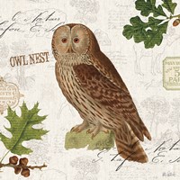 Lodge Collage V Framed Print