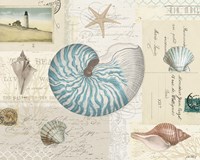 Beach Wonders I No Butterflies Framed Print