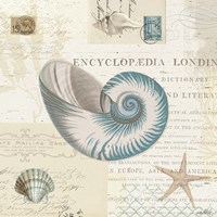 Beach Wonders III No Butterflies Fine Art Print