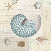 Beach Wonders IV No Butterflies Fine Art Print