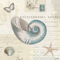 Beach Wonders III Framed Print