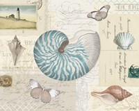 Beach Wonders I Fine Art Print