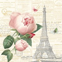 Roses in Paris IV Fine Art Print