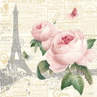Roses in Paris III Fine Art Print