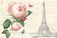 Roses in Paris II Framed Print