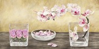 Orchids and Roses Arrangement Fine Art Print
