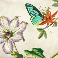 Panneau Botanique VI Fine Art Print