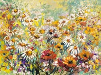 Campo Fiorito Fine Art Print