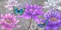 Nympheas and Butterflies (Ash) Fine Art Print