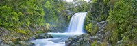 Tawhai Falls, New Zealand (detail) Fine Art Print