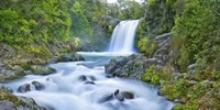 Tawhai Falls, New Zealand Fine Art Print