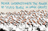 Never Underestimate... Fine Art Print