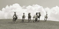Herd of Wild Horses (BW) Fine Art Print