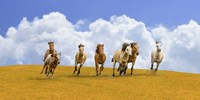 Herd of Wild Horses Fine Art Print