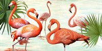 Flamingos Fine Art Print