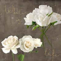White Roses Fine Art Print
