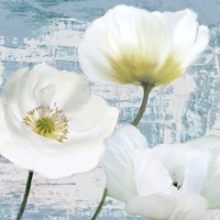 Washed Poppies (Aqua) II Fine Art Print