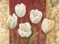 Tulips on Royal Red Fine Art Print