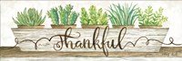 Thankful Succulent Pots Fine Art Print
